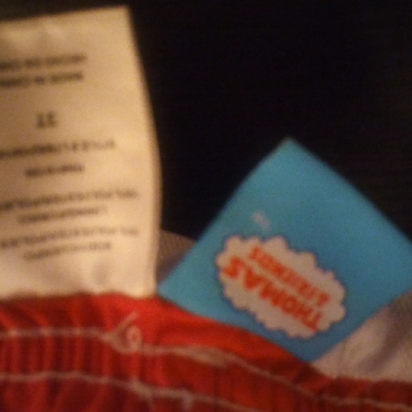 Thomas the Train Swim Trunks - Picture 3 of 5